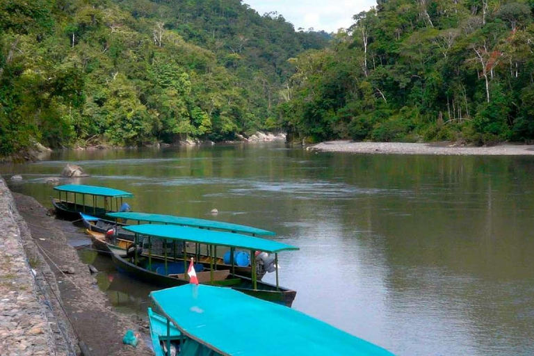 Manu National Park from Cusco