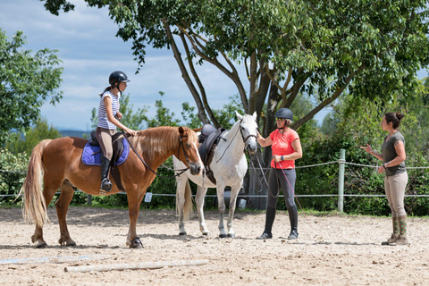 Saint John: Coastal Countryside Horseback Adventure