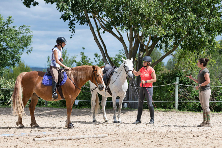 Saint John: Coastal Countryside Horseback Adventure