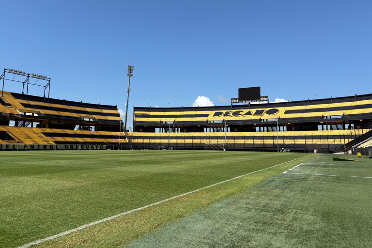 Montevideo: Peñarol Stadium, Museum, and Arena Tour