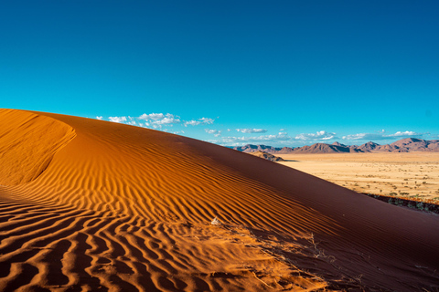 Safari de 7 días por lo mejor del norte de Namibia