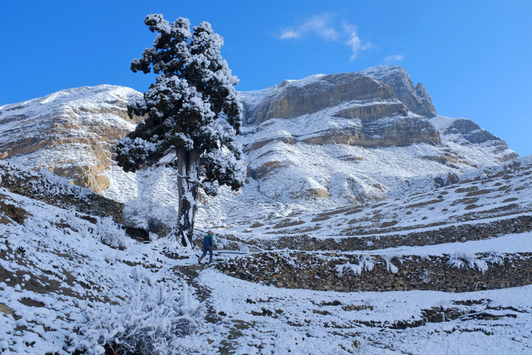 From Kathmandu: 9 Day Annapurna circuit & Tilicho lake Trek