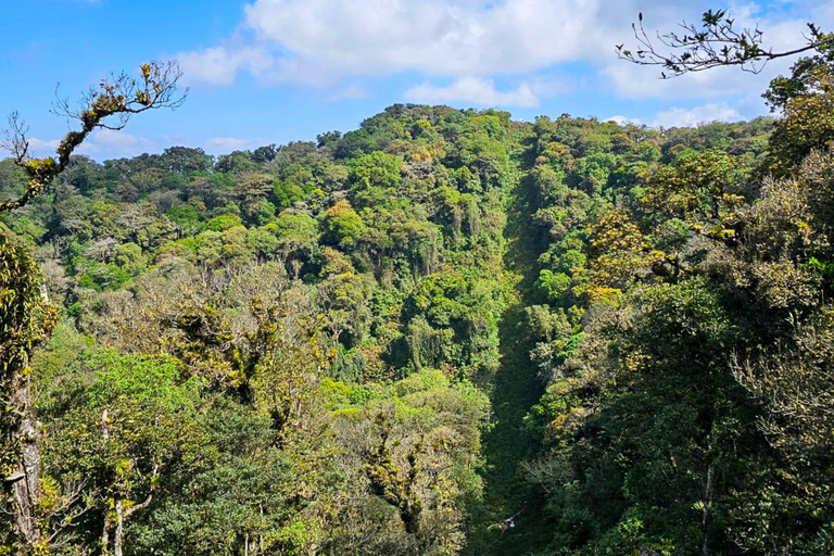 Santa Ana: El Chingo Volcano Day Trip