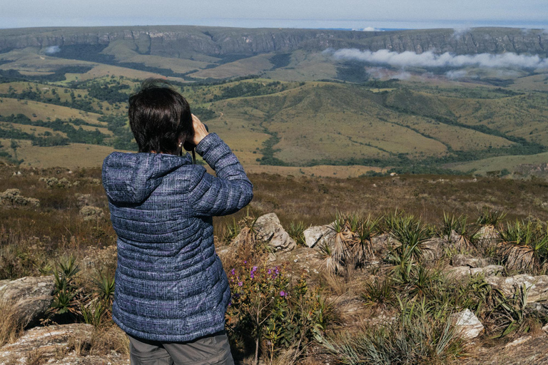 From São Paulo: 5-Day Serra da Canastra Wildlife Safari