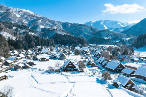 Vanuit Nagoya: Takayama en Shirakawa dagvullende tourVanuit Nagoya: 10 uur durende rondleiding op maat met chauffeur en gids