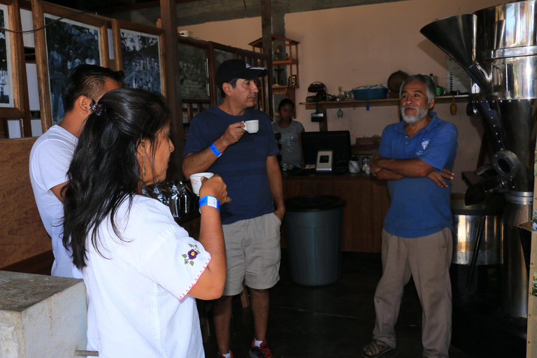 De Huatulco: 3 níveis, café, cultura e natureza