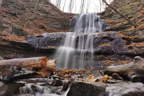From Toronto: Hamilton Waterfalls Day Trip