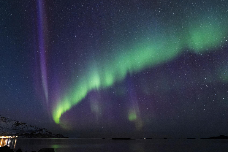 Tromsø: Northern Lights tour with local experts