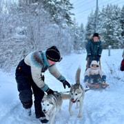 Ivalo : visite privée d'une ferme et expérience avec les huskies