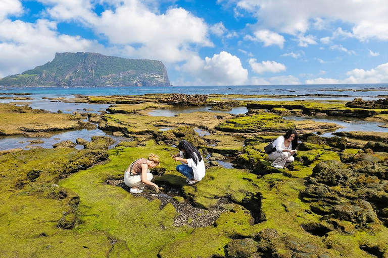 Jeju Tour | Jungmun & Seogwipo Pick-up | UNESCO Highlights
