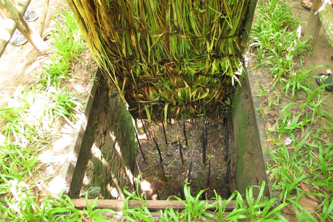 From Ho Chi Minh: Cu Chi Tunnels &amp; Mekong Delta Full DayGroup Tour