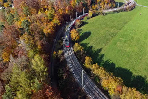 Aventura en transporte por Zúrich: Rueda dentada, Funicular y tour en barcoExcluyendo las subidas más largas