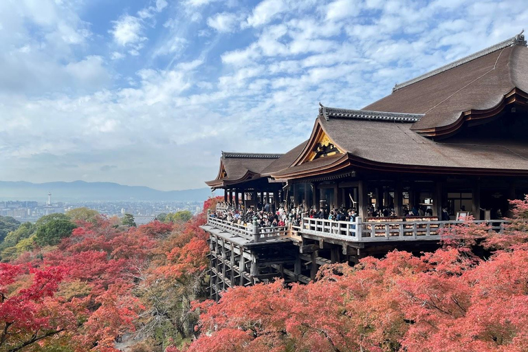 Osaka: Kyoto & Uji Day Tour, Kinkakuji&Kiyomizudera&Byodo-in Kyoto & Uji Day Tour | 8:00 AM from Osaka