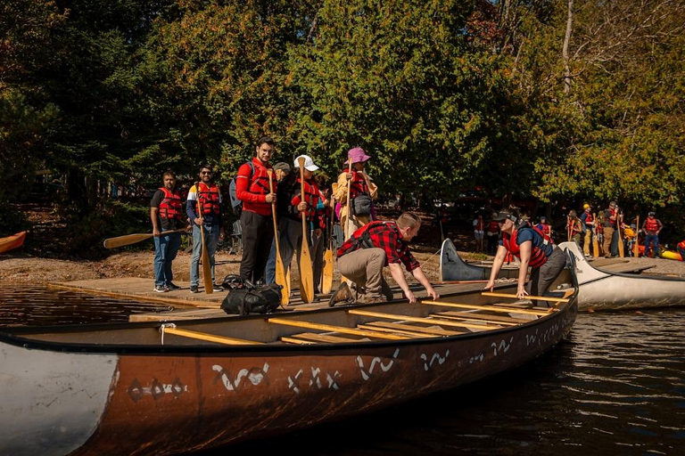 Toronto: Algonquin Park and Ragged Falls Day Trip