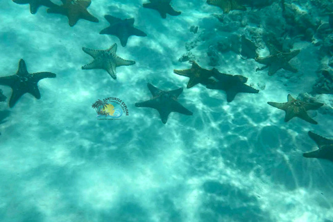 Zanzibar: Traditional Boat Snorkeling Starfish & Sunset Trip Meeting Point – Full Inclusions (No Hotel Transfers)