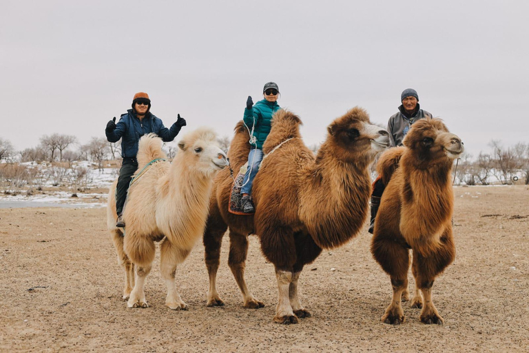 2 day Express: Kharkhorin, Ugii Lake, & Semi-Gobi Tour