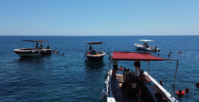 Syracuse: Boat Tour and Panoramic Tuk Tuk Tour of the Island of Ortigia