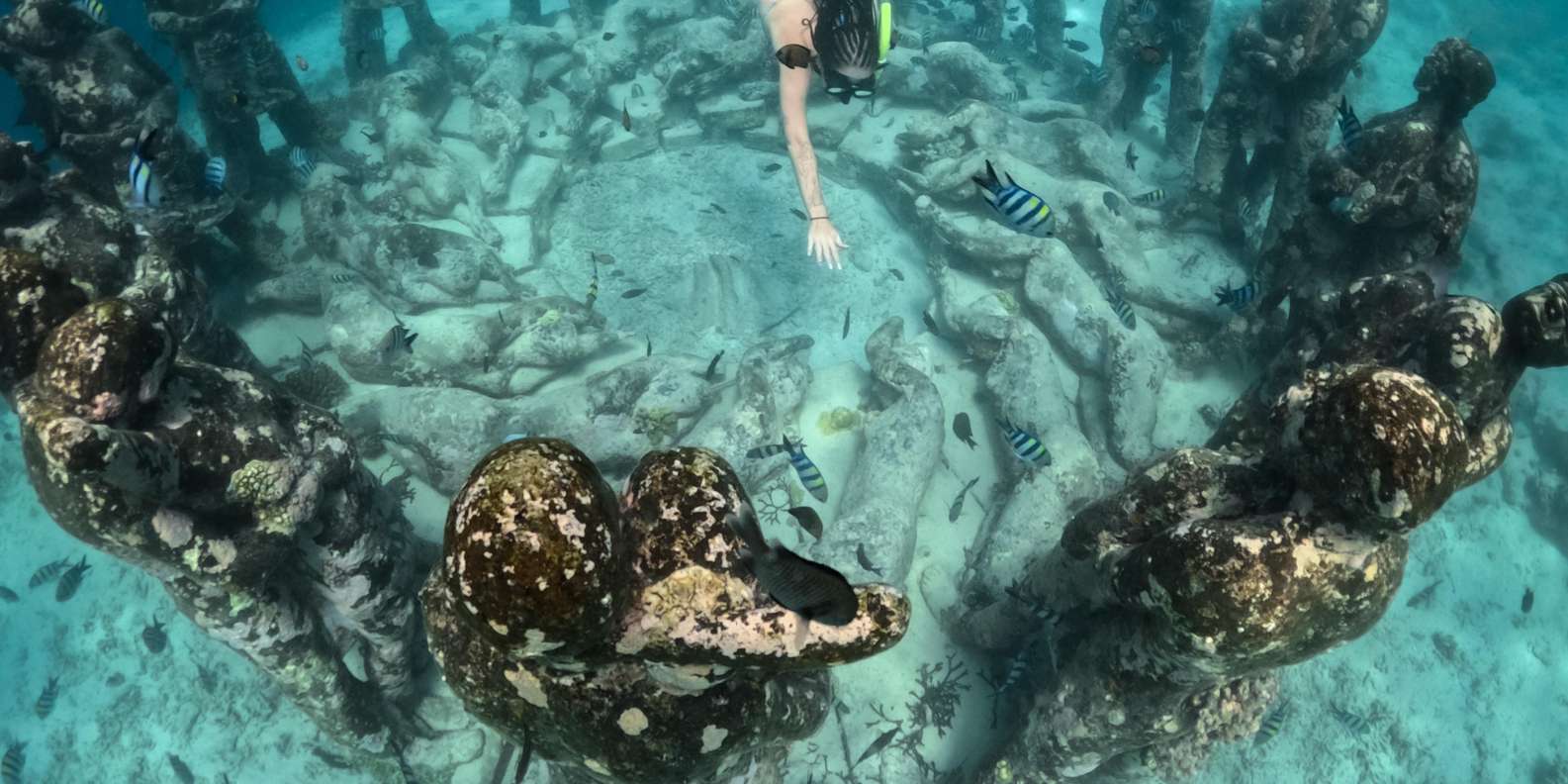 Bali snorkeling tour — underwater marine life and coral reefs — image 24