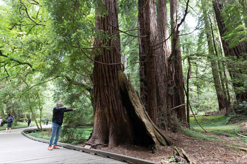 San Francisco: Muir Woods und Sausalito Eintrittsgeld inbegriffen