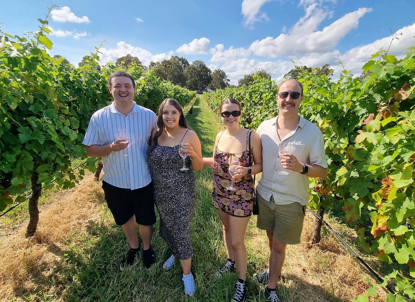Fra Sydney: Hunter Valley vin-, gin- og madtur
