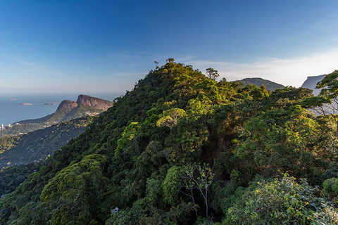 Rio de Janeiro: Zwiedzanie z przewodnikiem do Parku Narodowego Tijuca
