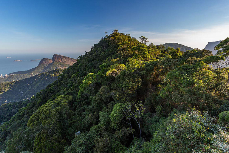 Rio de Janeiro: Zwiedzanie z przewodnikiem do Parku Narodowego Tijuca