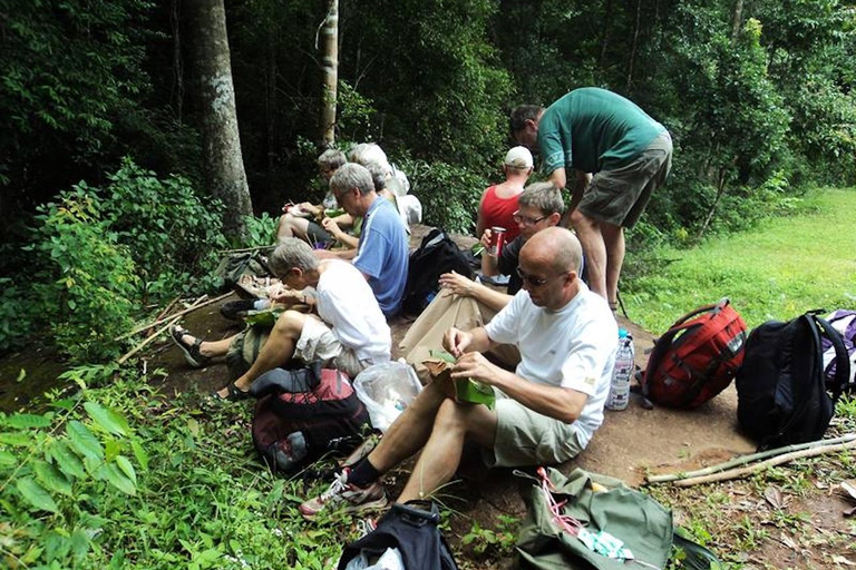 مغامرة لمدة 2-3 أيام في شيانغ ماي: قبائل التلال والفيلة والنهر2 أيام 1 ليلة واحدة: الحياة المحلية ورعا