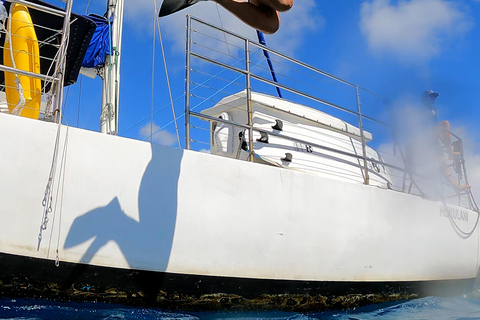 Waikiki: Sail and Turtle Snorkel Experience