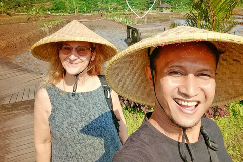 Jardín Botánico Bogor de Yakarta, Terraza de Arroz y Cascada