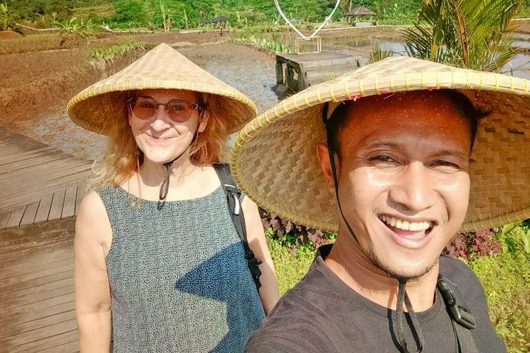 Botanische tuin Jakarta Bogor, rijstterras en waterval