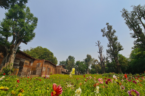 Chiangmai : Sticky waterfall &amp; Land of angels &amp; Wat ban den.