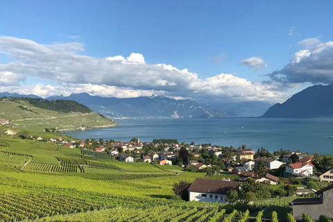 Experiencia en el Viñedo Lavaux