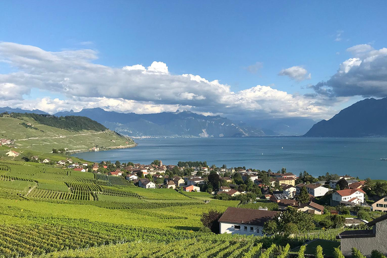 L&#039;esperienza del vigneto Lavaux