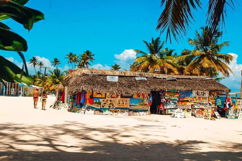From Punta Cana: Saona Island Tour with BBQ Lunch