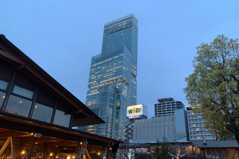 Osaka: tour privato a piedi con guida in lingua spagnolaOsaka: tour privato a piedi con guida di lingua spagnola 4 ore