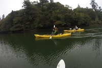 Brookings, visite de Kayak dans l'océan Pacifique - Hizvo
