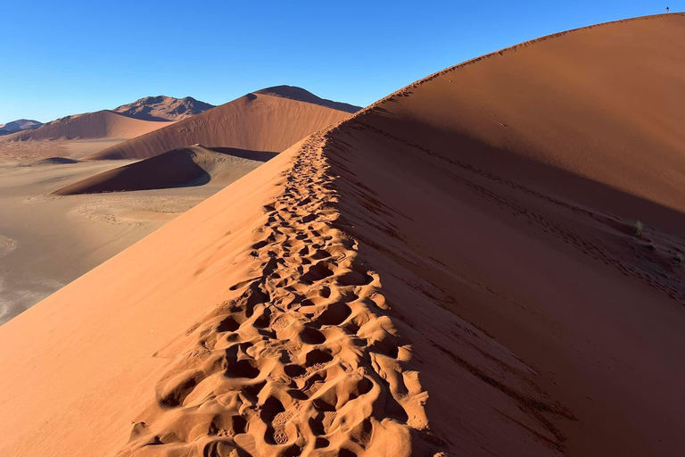 From Windhoek & Swakop: Namib Desert 2-Night Tour with Meals