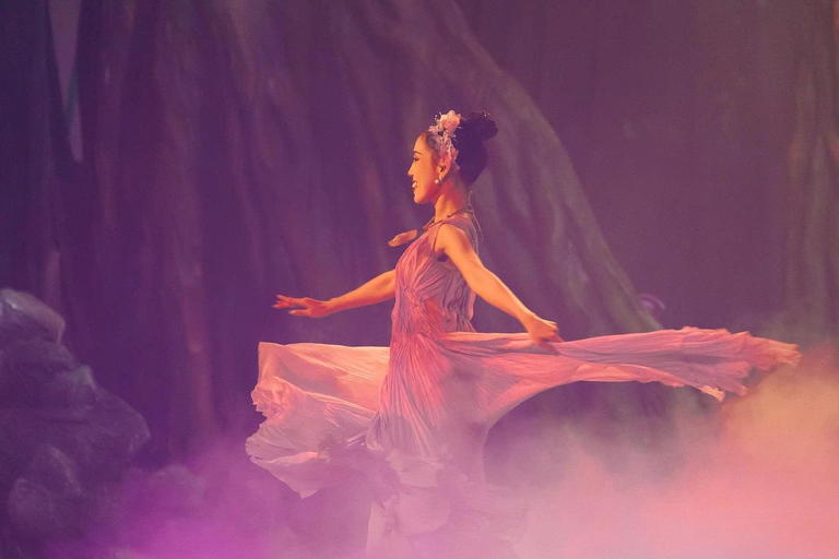 岘港：汉江晚餐游船之旅（含仙沙表演）岘港：汉江晚餐游船之旅，含仙沙表演