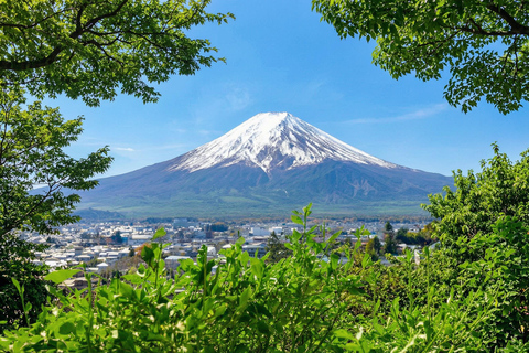Mt. Fuji & Hakone Tour: Arakurayama, OshinoHakkai, Owakudani Tokyo Station | 7:30 AM Departure with English Guide