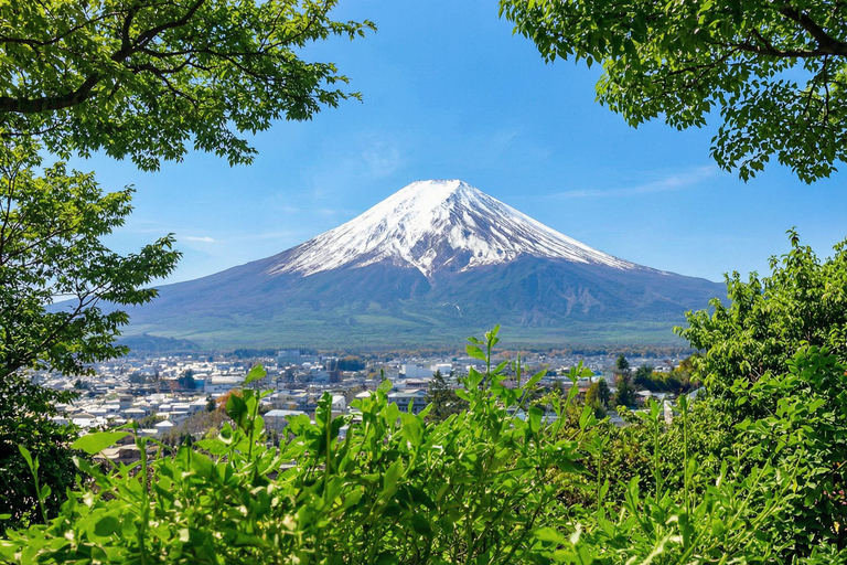 Mt. Fuji & Hakone Tour: Arakurayama, OshinoHakkai, Owakudani Tokyo Station | 7:30 AM Departure with English Guide