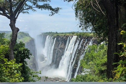 Livingstone: Victoria Falls Cross-Border Experience