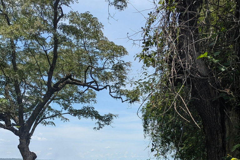 Livingstone: Victoria Falls Cross-Border Experience