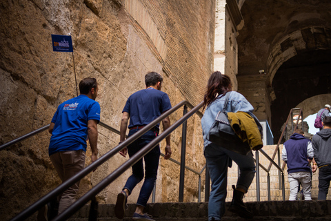 Colosseum with Arena Floor, Palatine Hill & Forum Tour Colosseum Arena Tour + 48h Forum & Palatine Ticket