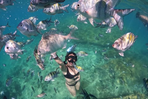 Full day tour to Búzios - Premium All Inclusive