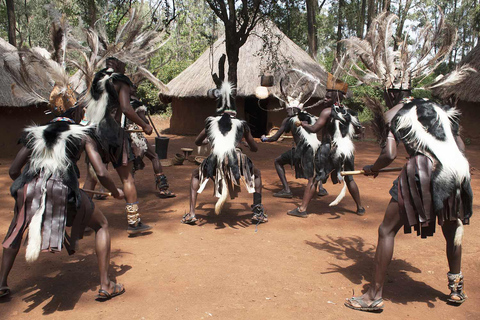 Elefantbarnhem och Bomas i Kenya