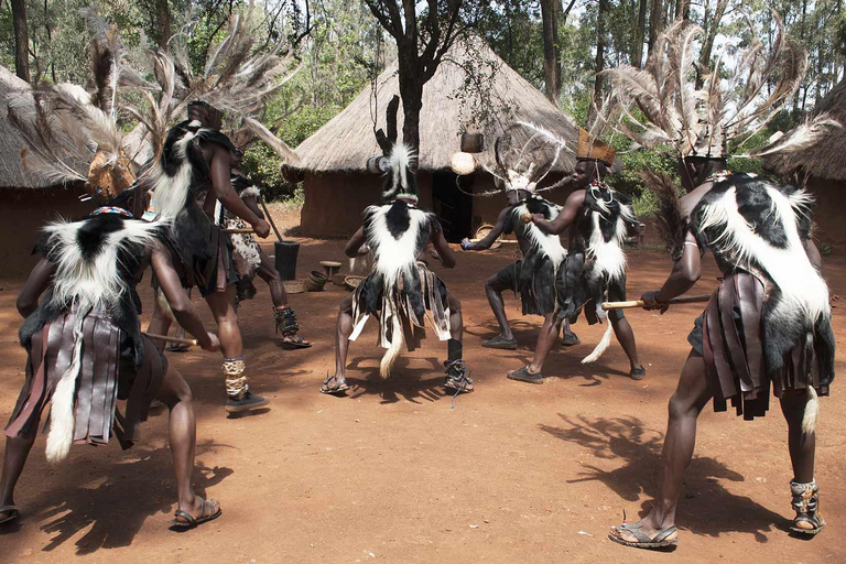 Elefantbarnhem och Bomas i Kenya