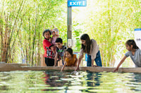 Phoenix Zoo, entrada general de un día - Hizvo
