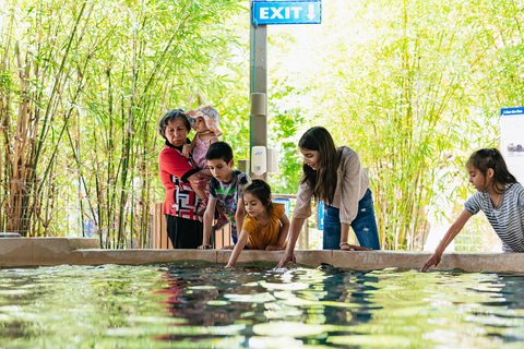 Phoenix Zoo: Allgemeine Eintrittskarte für einen Tag