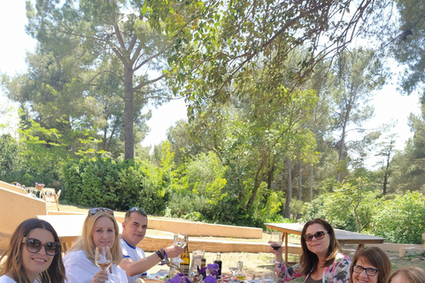 Valencia: Utiel-Requena Wine Tour with Tapas and Wines
