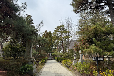 Tokyo: Nikko Private One Day Tour